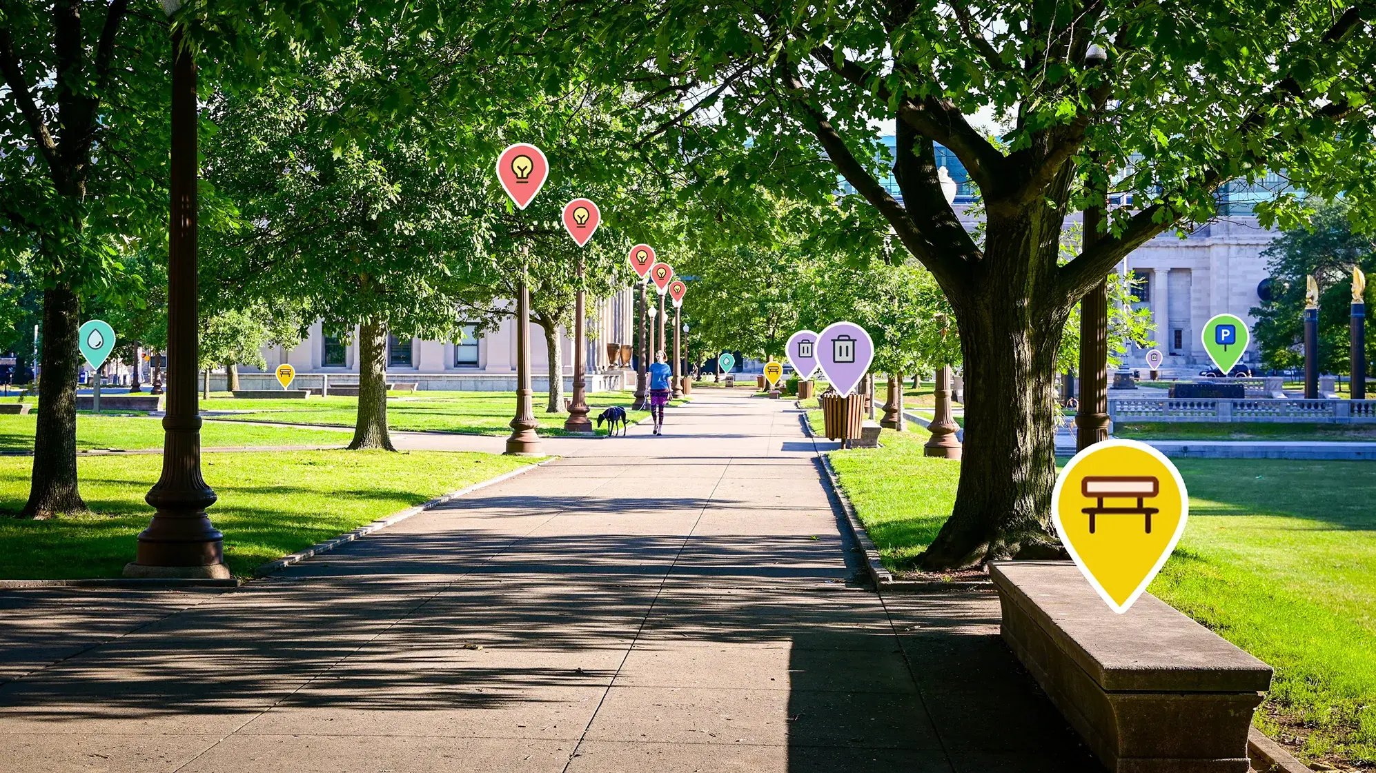 Eine Allee im Park, anhand derer die Möglichkeiten von vialytics präsentiert werden.