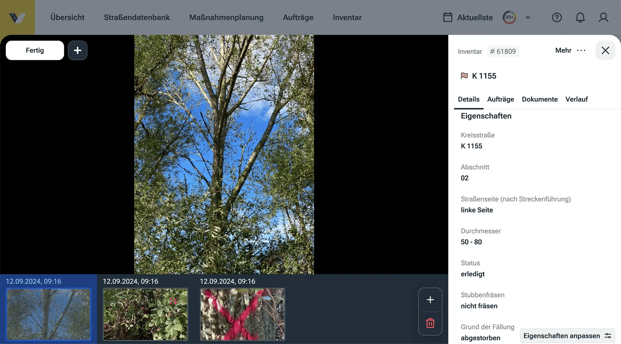 Screenshot aus dem vialytics Web-System zeigt einen erstellten Arbeitsauftrag zur Baumkontrolle und Bilder von diesem Baum