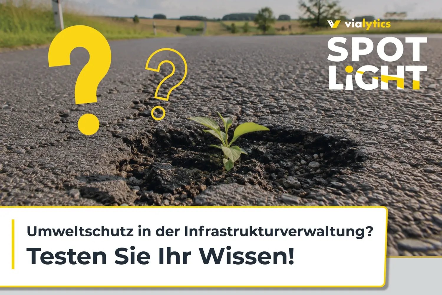 Sustainability Quiz 2