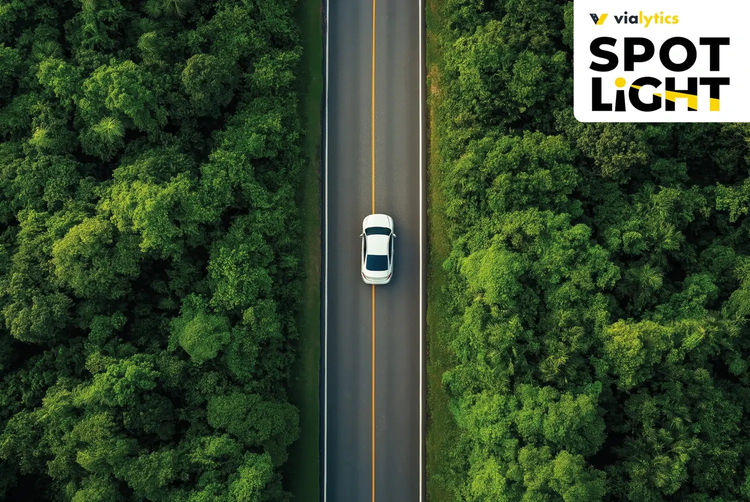 Ein auto fährt durch einen Wald, in Vogelperspektive