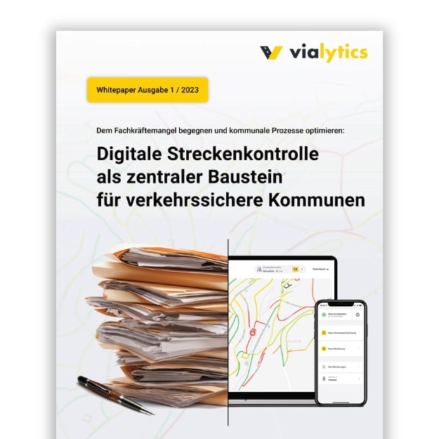  Deckblatt der deutschen Version des vialytics Whitepaper