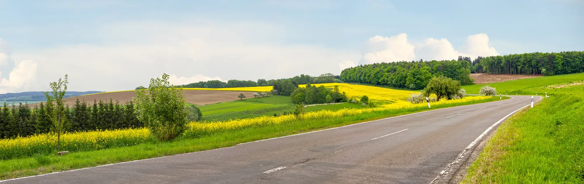 Eine Landstraße zwischen Feldern und Bäumen
