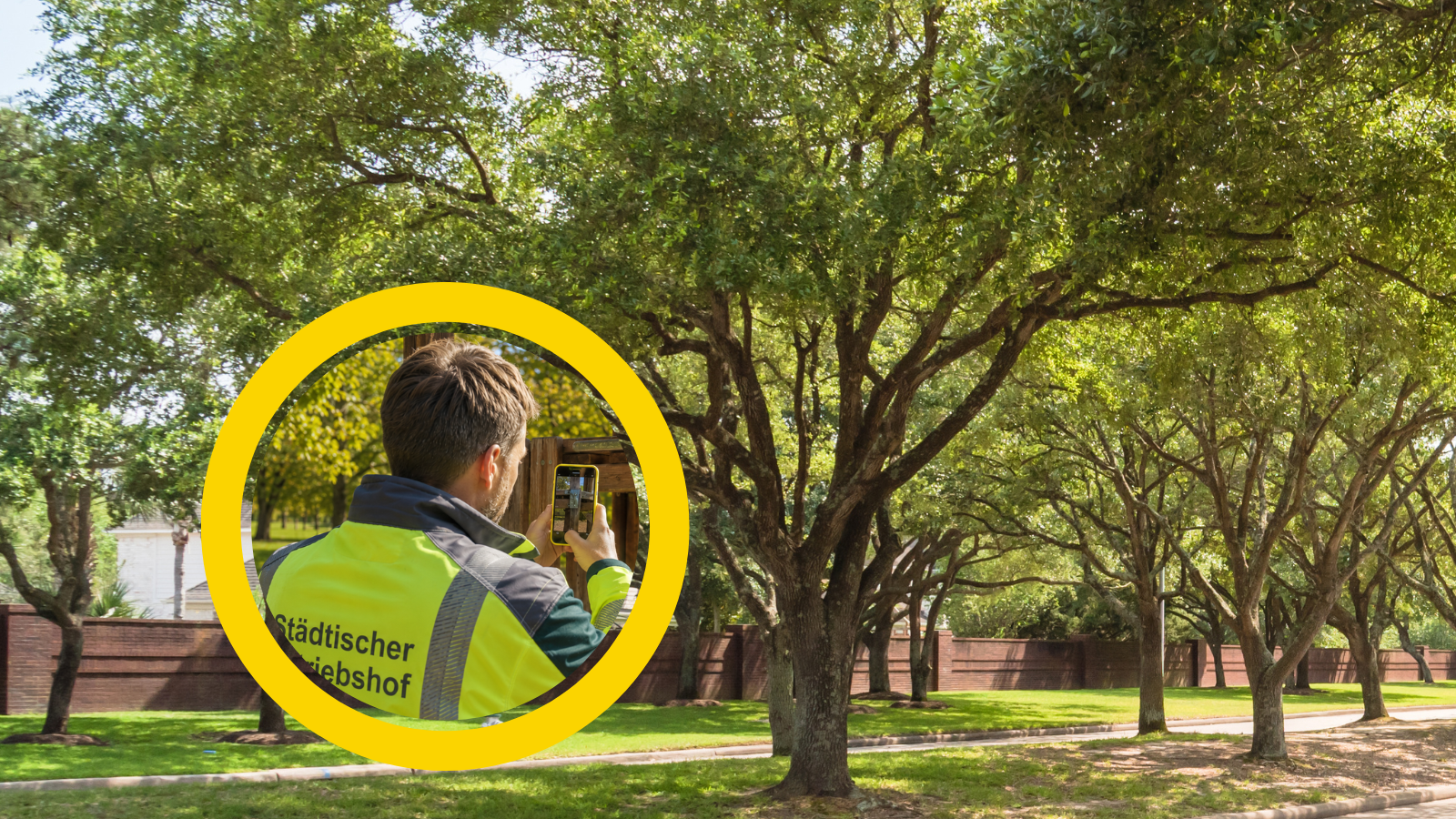 Person mit iPhone fotografiert einen Baum