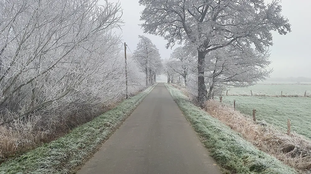 Vereiste Landstraße mit Raureif-Bäumen im Winter